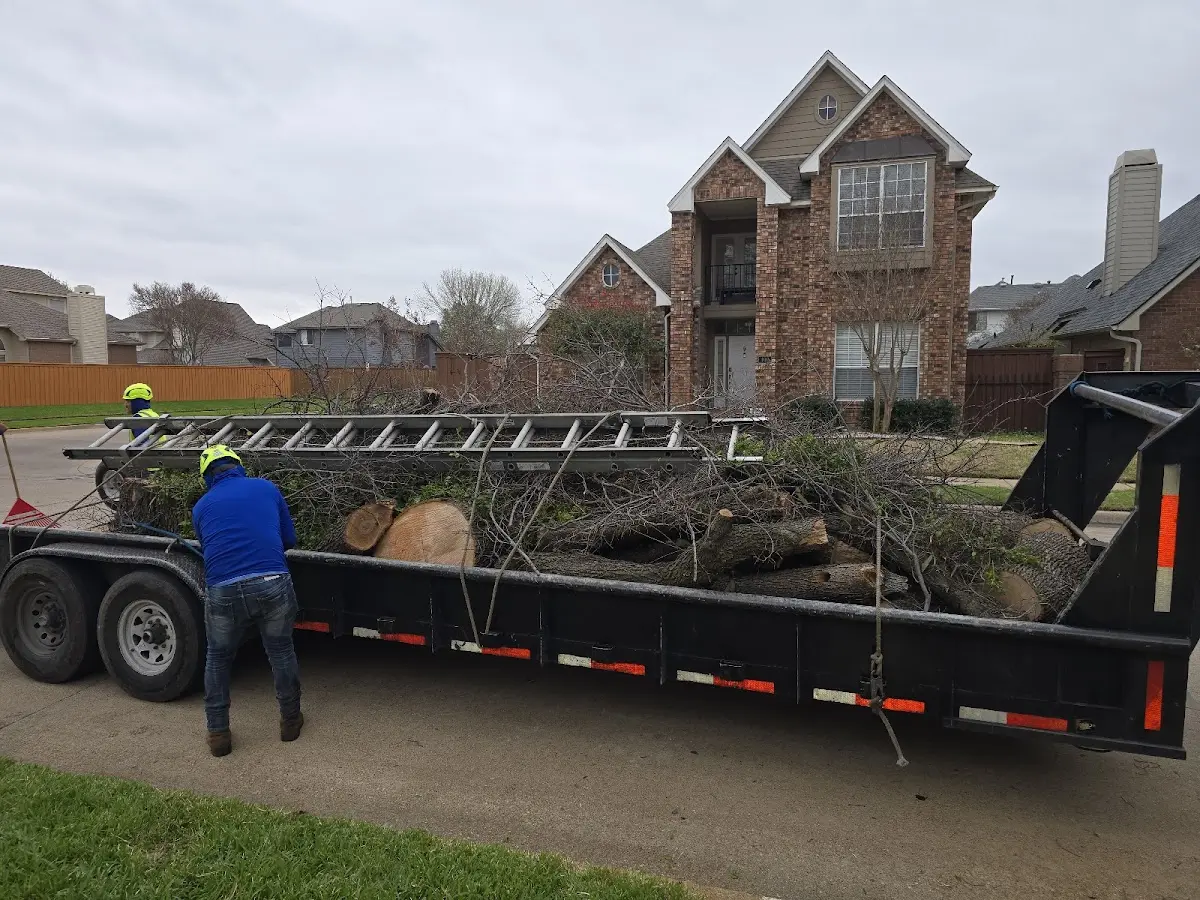 Expert Crown Reduction with proper safety equipment in Carrollton